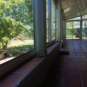 img_20250903_144607_1.jpg